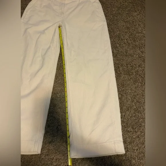 Women’s Minimalist Everlane The Mid-Way Pant In Corduroy Size 16 - Picture 8 of 9